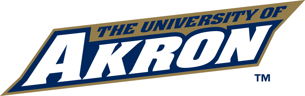 Akron Zips 2002-Pres Wordmark Logo v3 iron on transfers for T-shirts